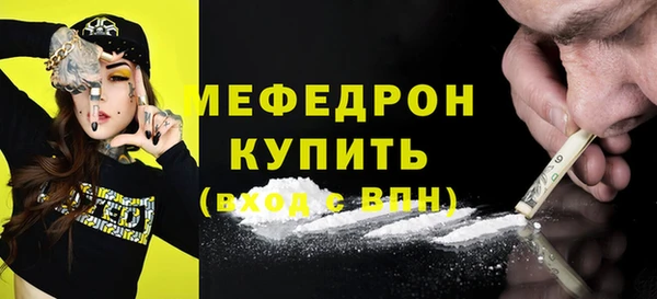 трава Ельня