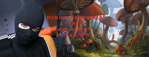 трава Ельня