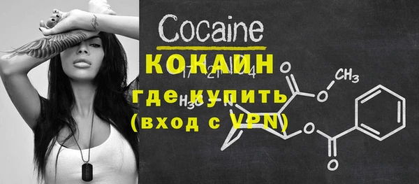 трава Ельня