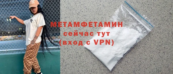 трава Ельня