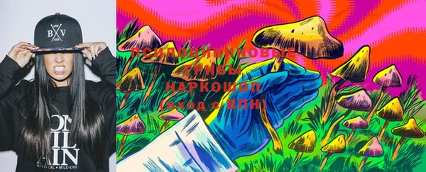 трава Ельня