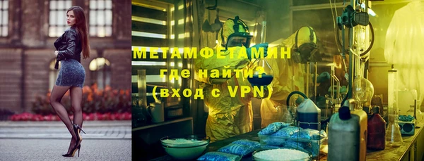 трава Ельня