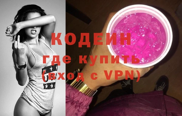 трава Ельня