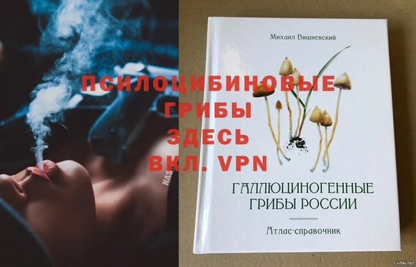 метадон Елабуга
