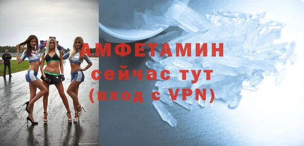 трава Ельня
